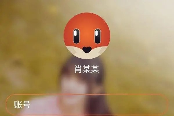 探探怎么退款申请？